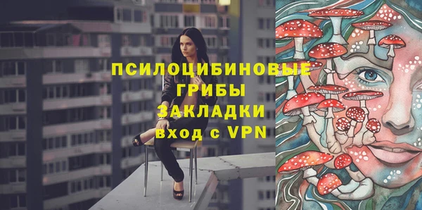 СК Алексеевка
