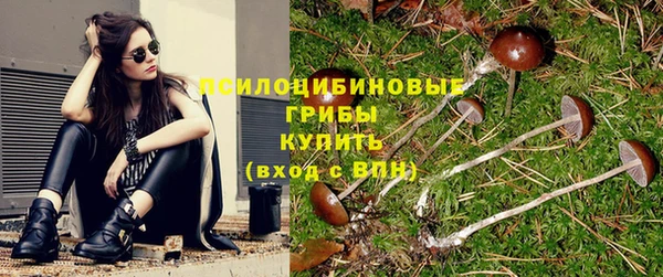 круглые Алзамай
