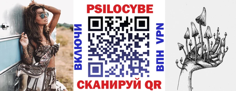 ссылка на мегу tor  Перевоз  Псилоцибиновые грибы Psilocybe  наркота 